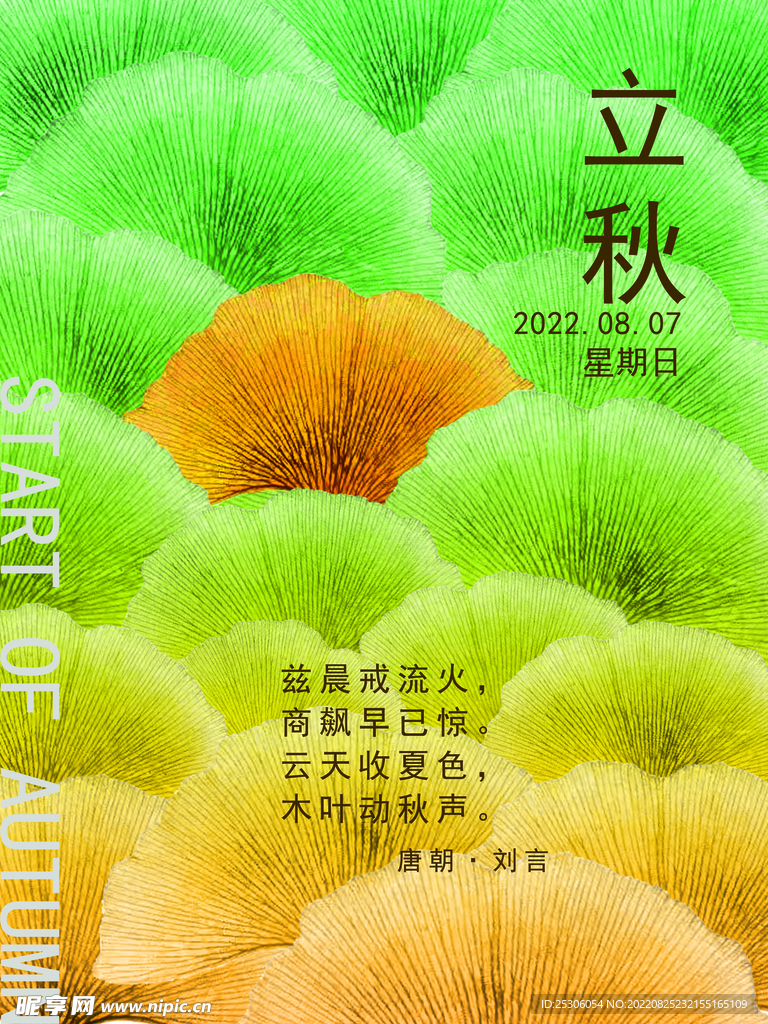 立秋