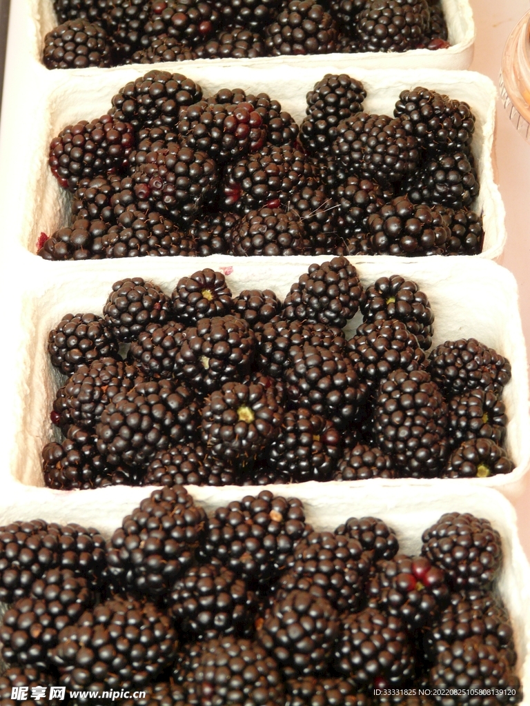  黑莓