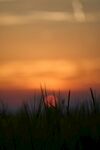 夕阳