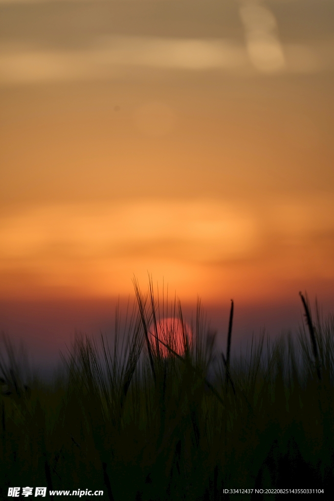 夕阳