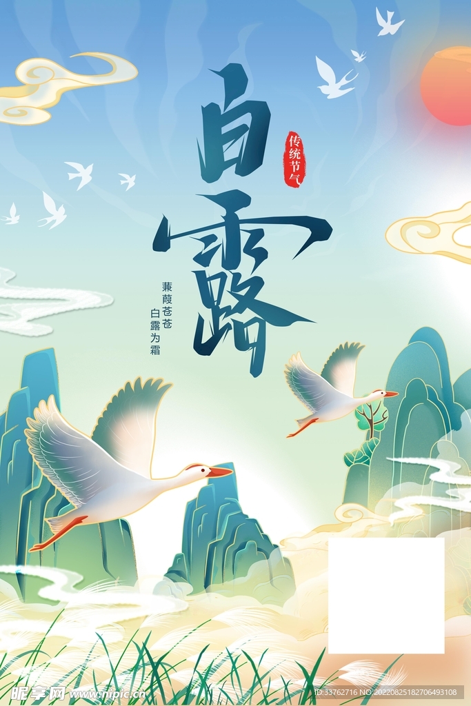 白露海报
