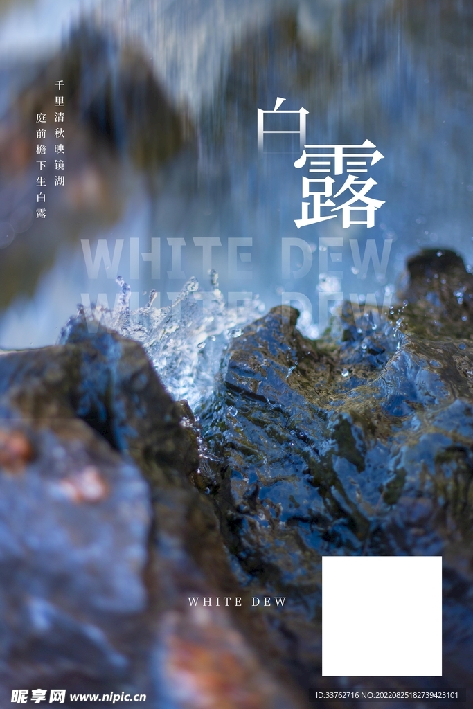 白露海报