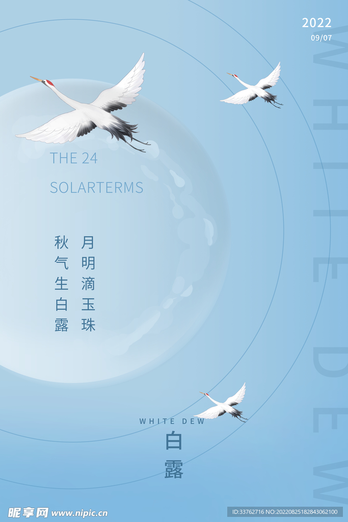白露海报
