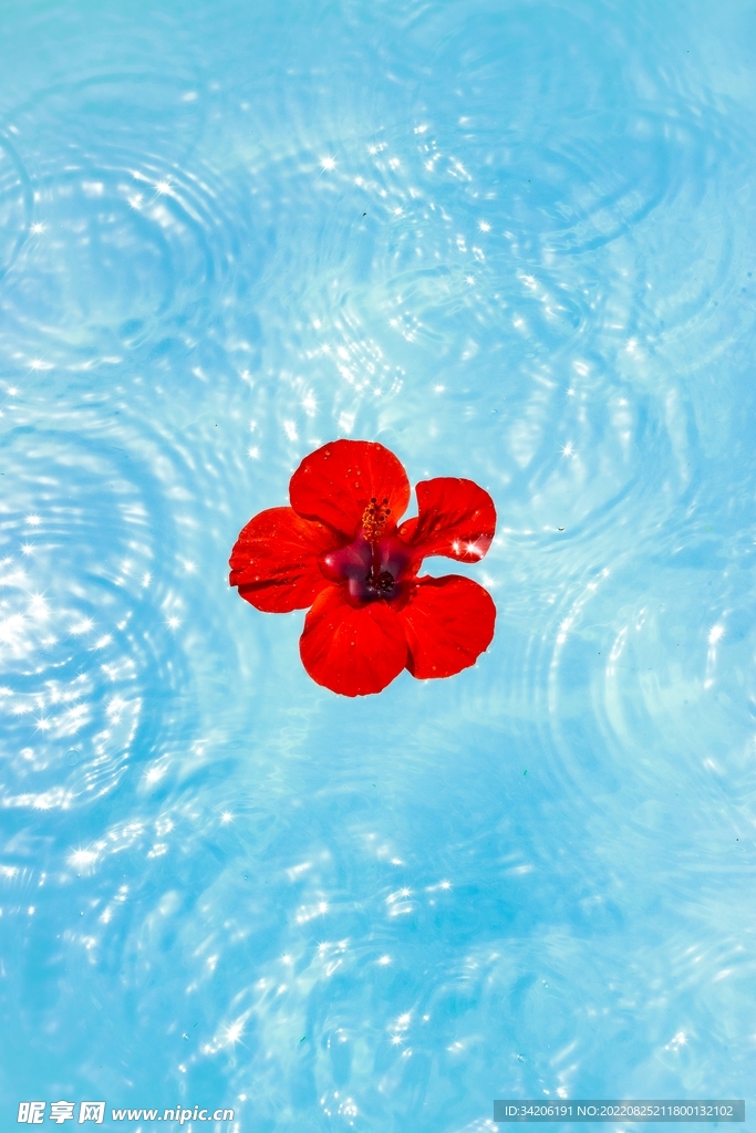 红花