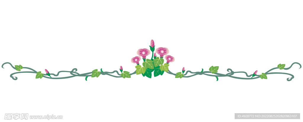 牵牛花