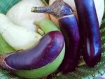 茄子