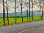 道路风景