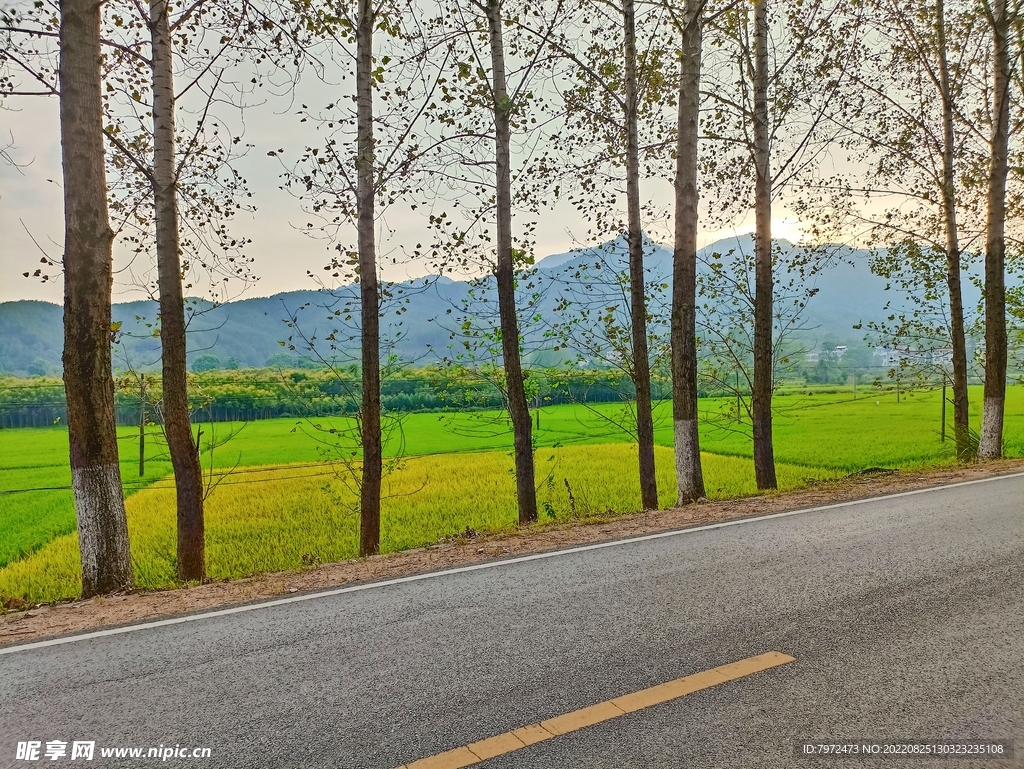 道路风景