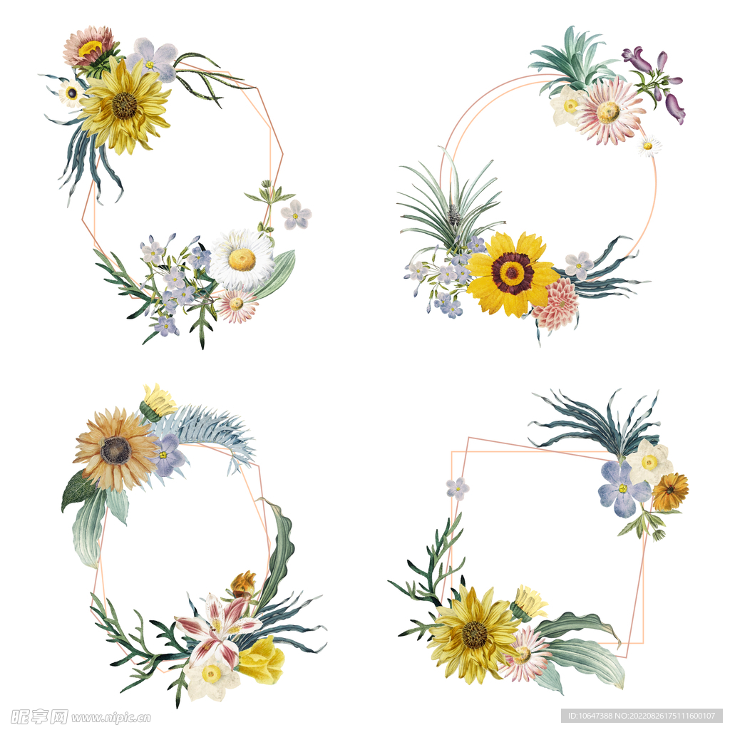 花边框