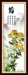 菊花