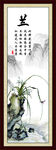 兰花