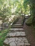 台阶石桥上山路
