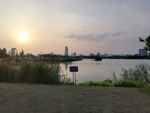 湿地公园日落风光