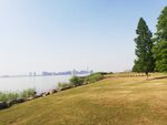 苏州湾观光大堤草地