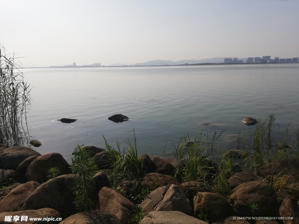 苏州湾湿地公园风光江景