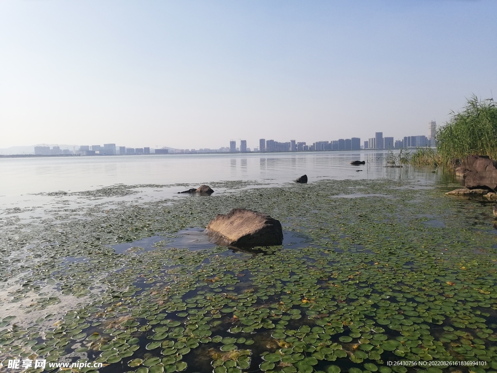 东太湖苏州湾湿地公园风光