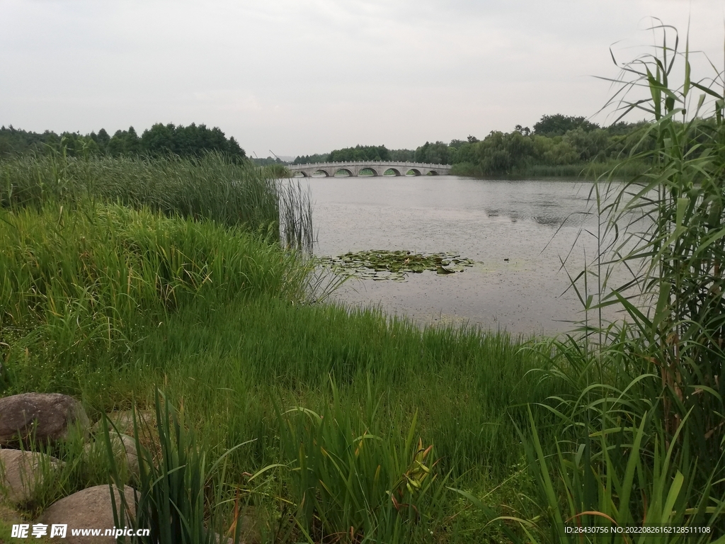 东太湖苏州湾湿地公园风光