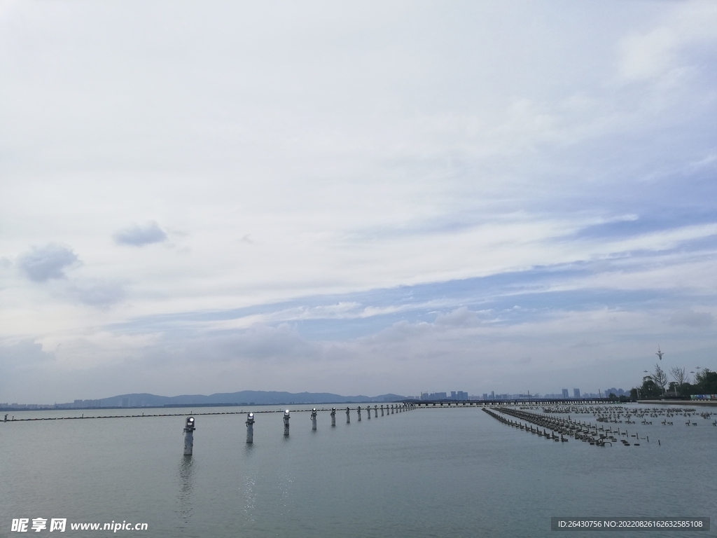 苏州湾 观光大堤 湿地公园 