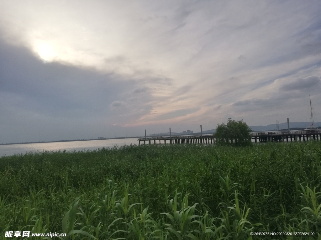 湿地公园江景风光朝霞