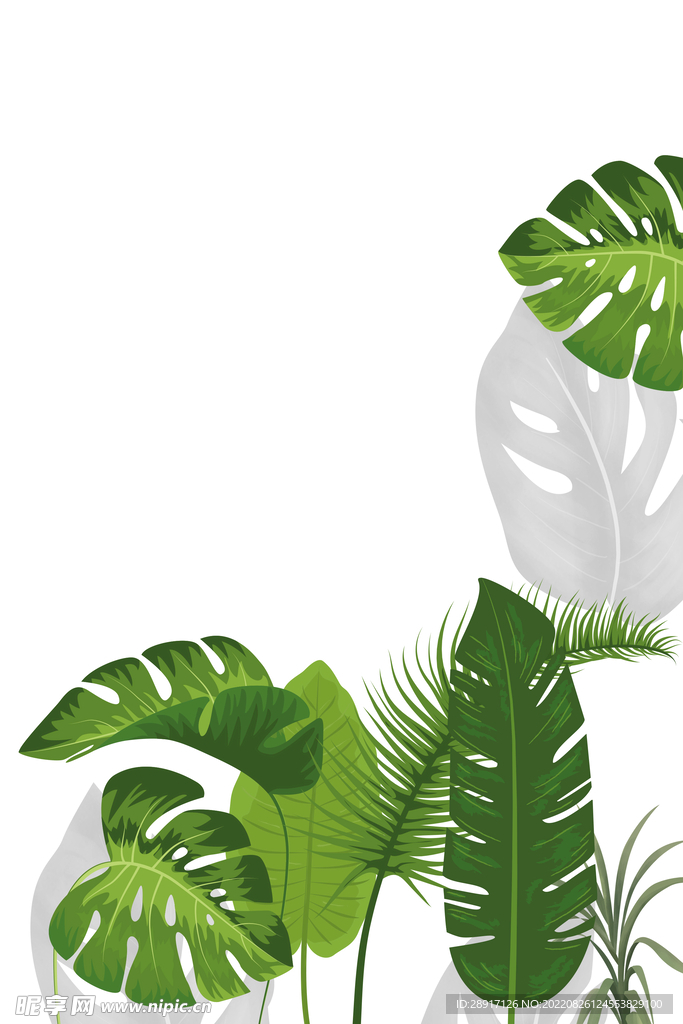 绿植装饰画