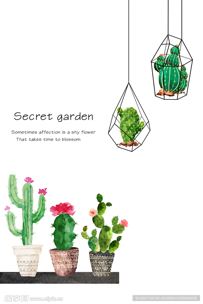 肉肉绿植装饰画