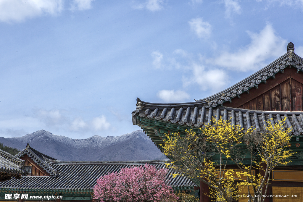 复古屋檐建筑