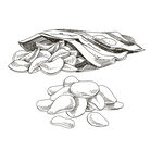 素描薯片