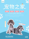 宠物寄养海报         