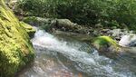 山谷小溪
