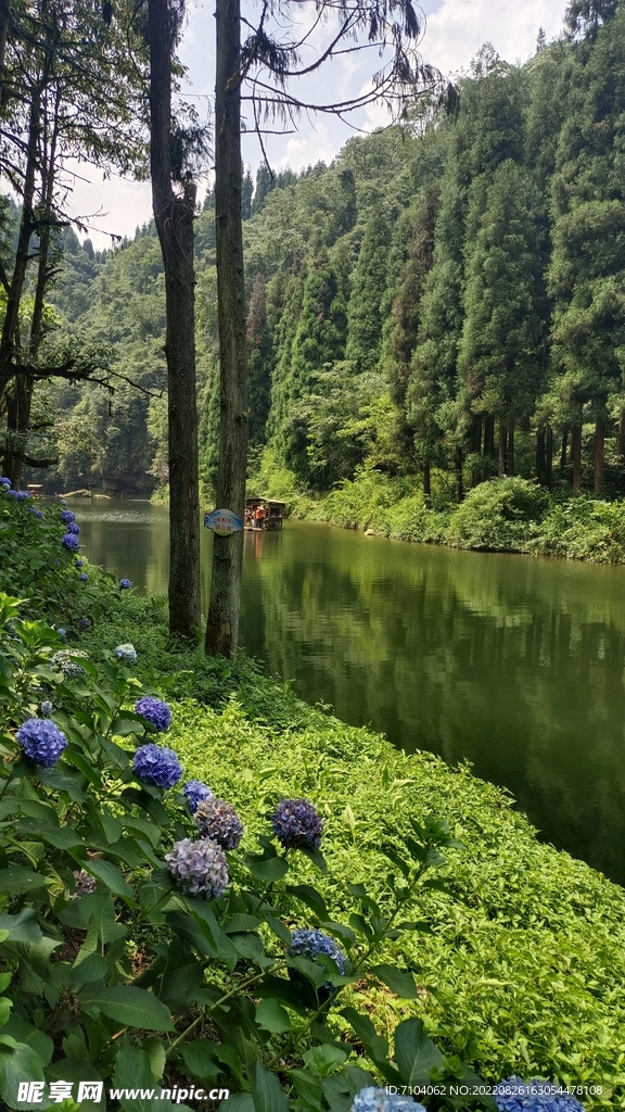 龙苍沟叠翠溪景区