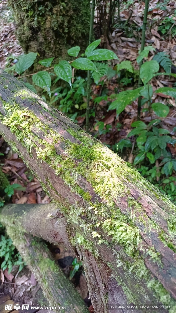 龙苍沟叠翠溪景区