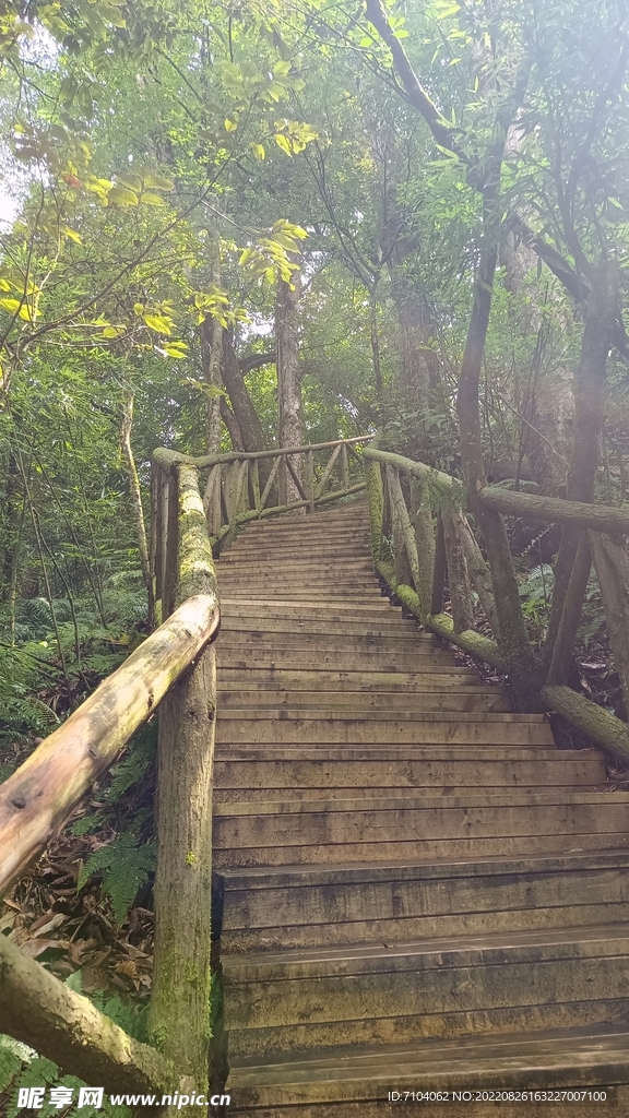 龙苍沟叠翠溪景区