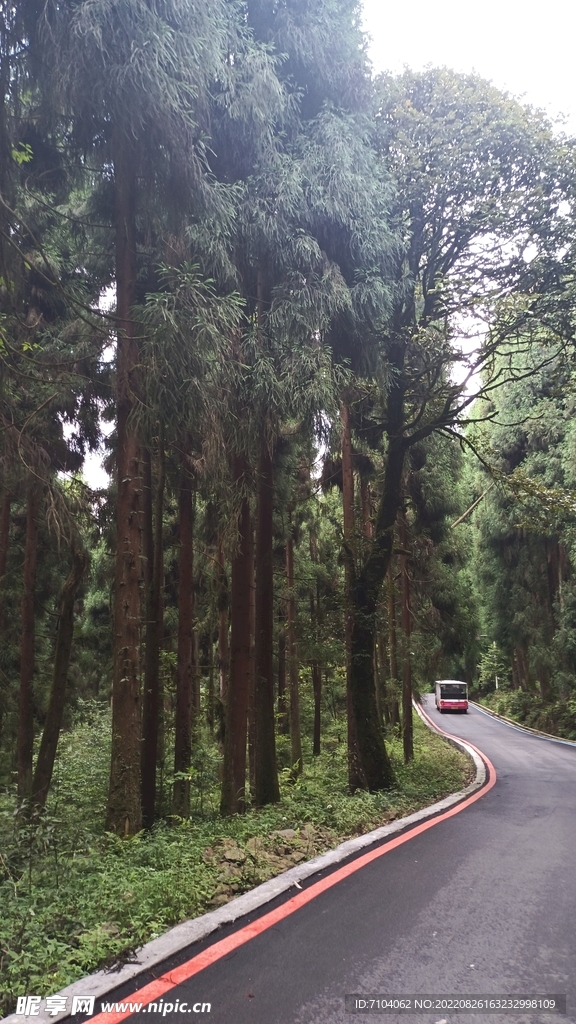 龙苍沟叠翠溪景区