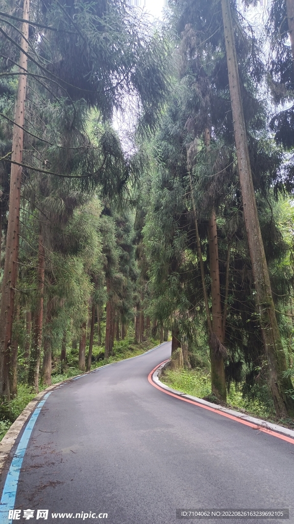 龙苍沟叠翠溪景区