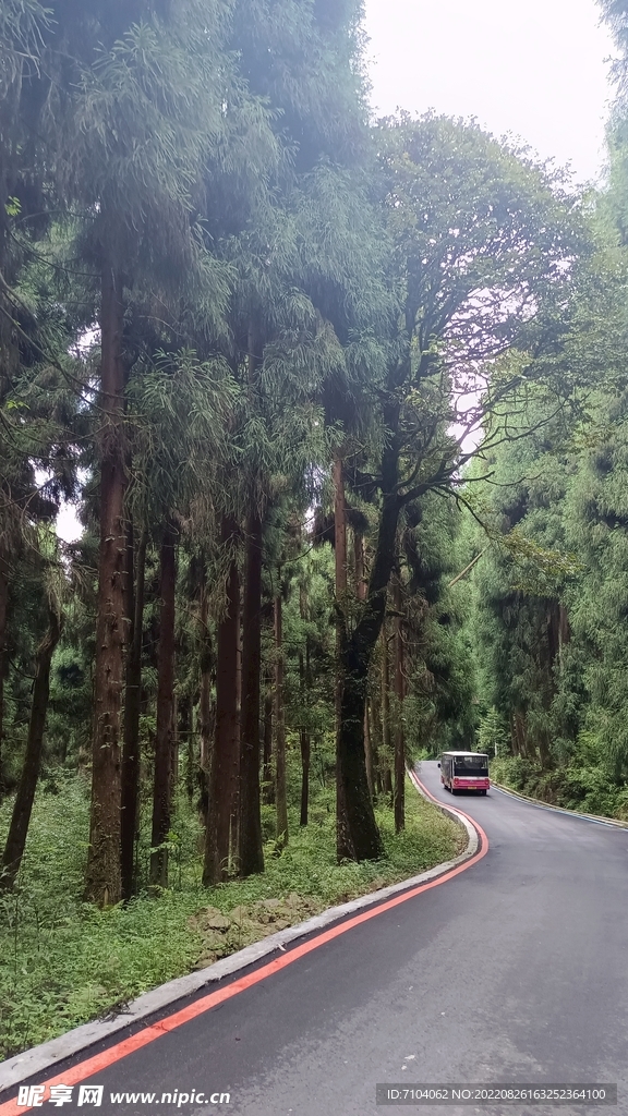 龙苍沟叠翠溪景区