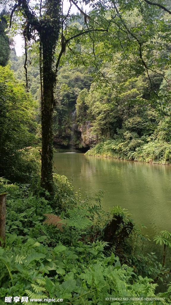 龙苍沟叠翠溪景区