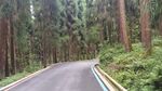 龙苍沟叠翠溪景区