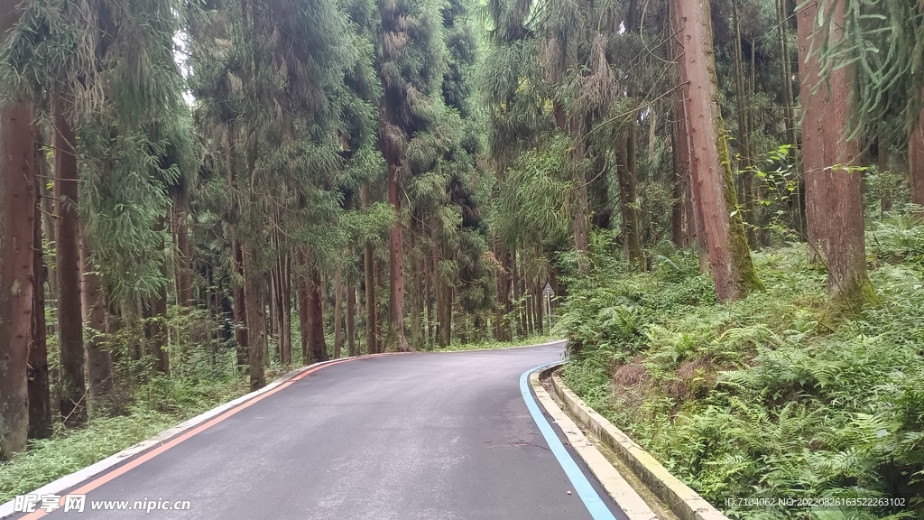 龙苍沟叠翠溪景区