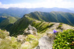 山