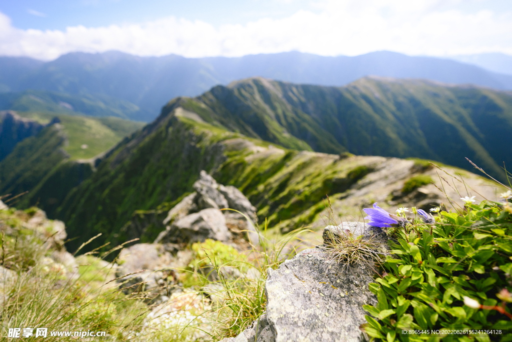 山