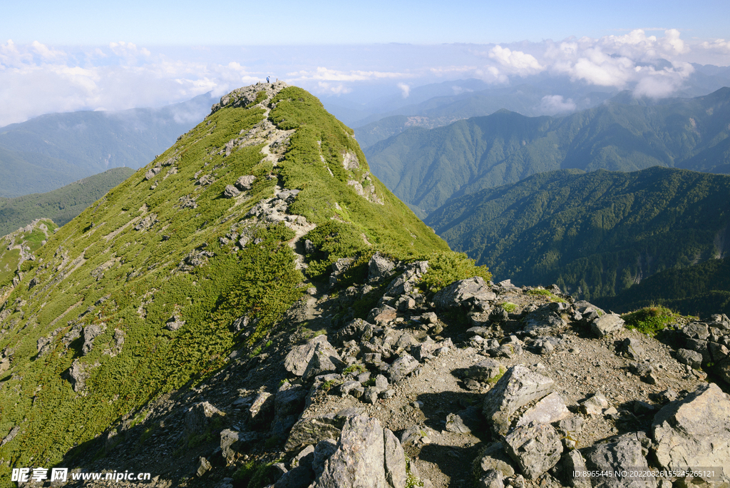 山