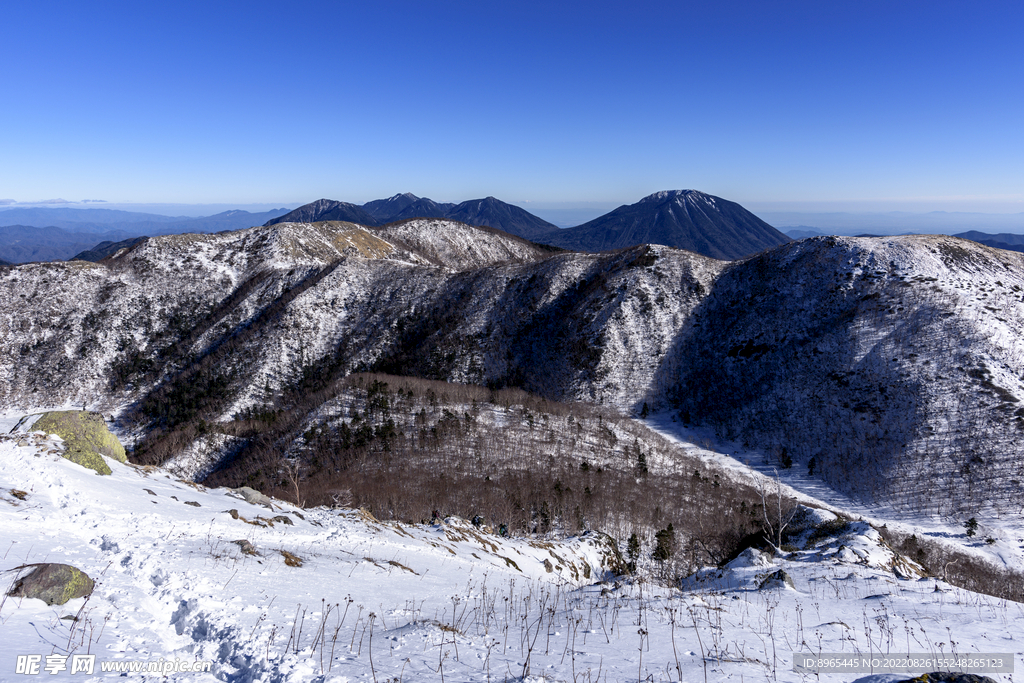 山
