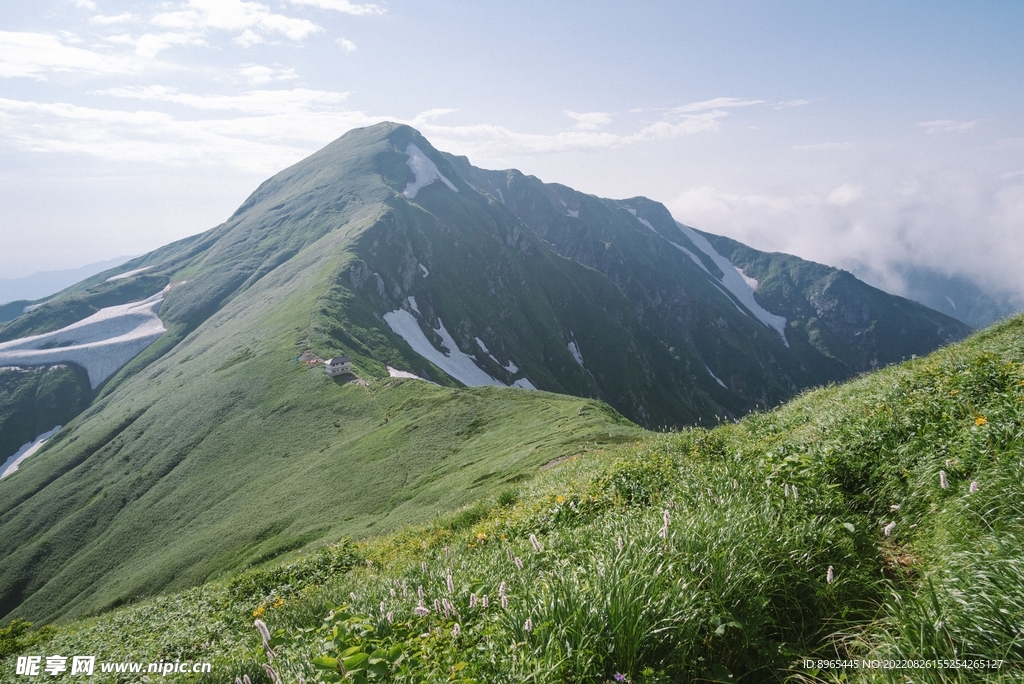 山