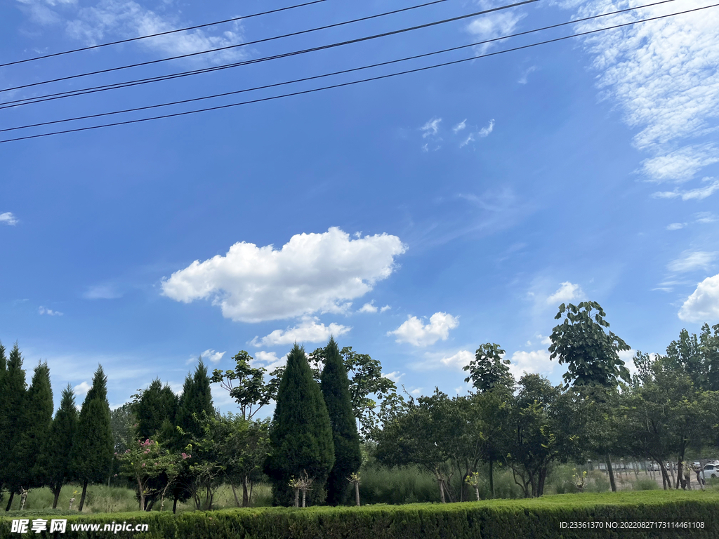 蓝天白云草地