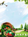  蔬菜背景