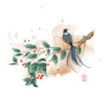 中国风 