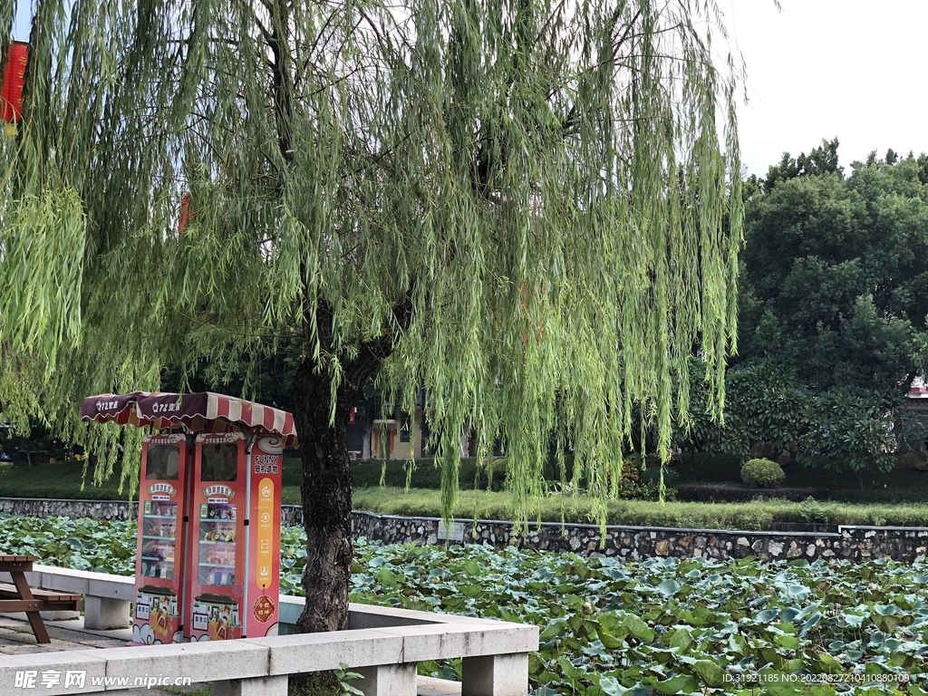 公园