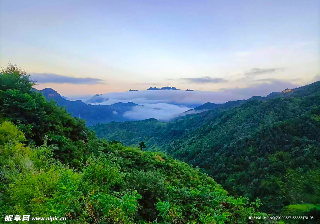 驼峰 风景  