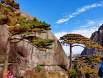 黄山