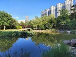 公园风景